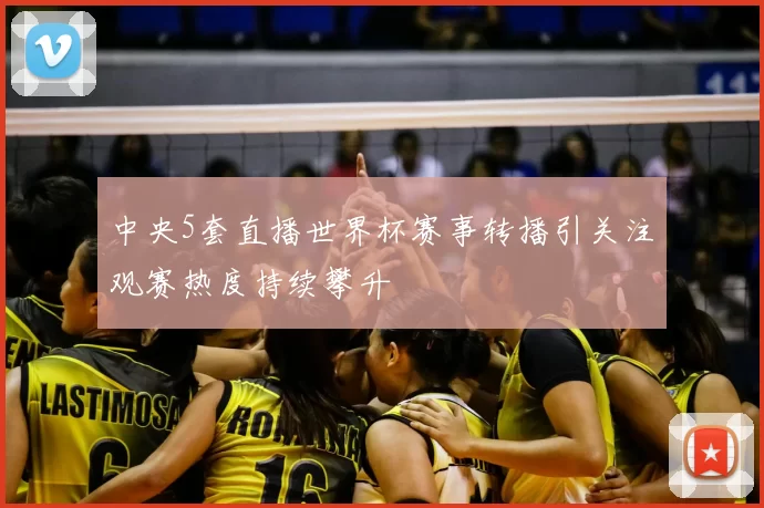 中央5套直播世界杯赛事转播引关注观赛热度持续攀升
