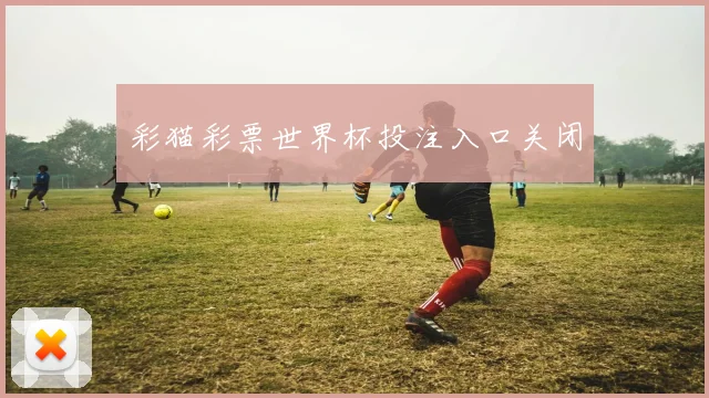 彩猫彩票世界杯投注入口关闭